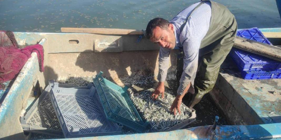 Denizi olmayan bozkırdan Avrupa sofralarına: Çekerek’te ihraç edilen balıklar rekor kırıyor! 5